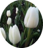 20110323.jpg