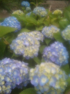 20120607OC-1.jpg