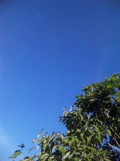 20120801NEWS.jpg
