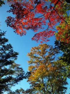 20121119.jpg